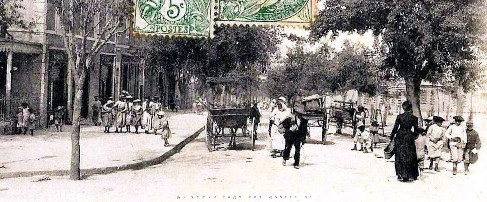 2232- Saida - Rue Charrier2.jpg